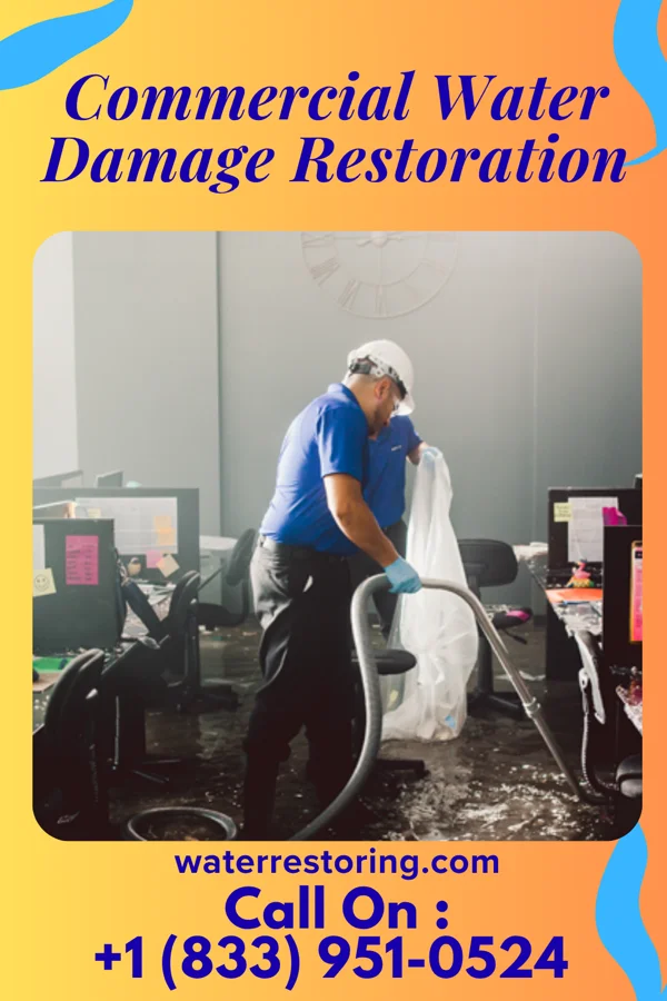 Commercial Water Damage Restoration in Pearl City, IL
