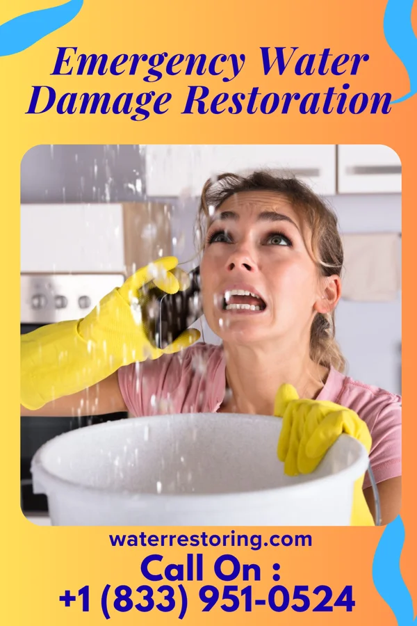 Emergency Water Damage Restoration in Pearl City, IL