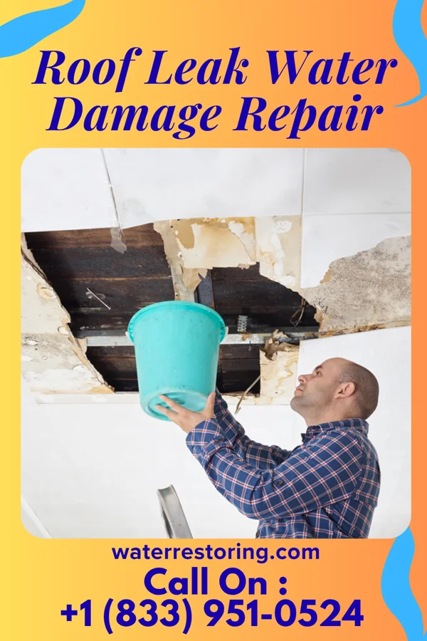 Roof Leak Water Damage Repair in Pearl City, IL